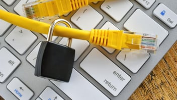 Data Security at Tribe Management