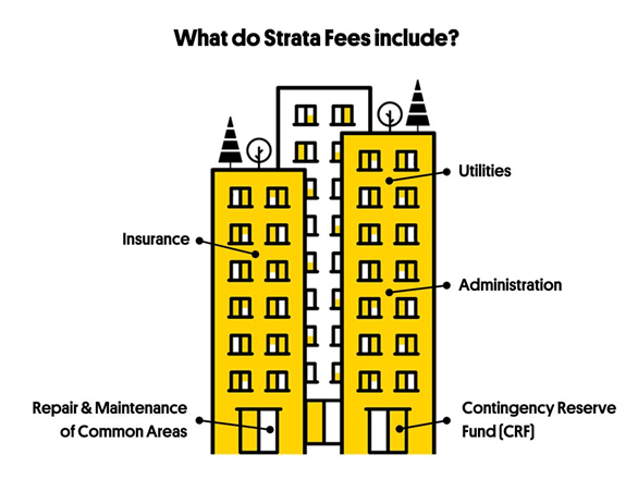 What do strata fees include? Infographic